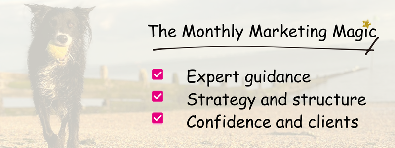 The Monthly Marketing Magic